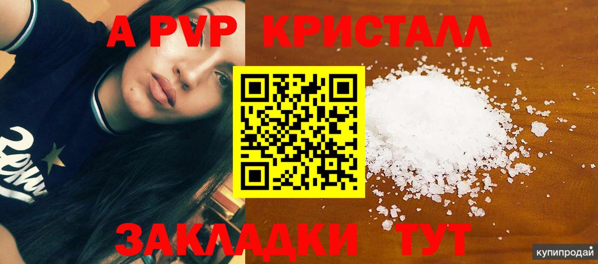 A PVP СК КРИС Советск